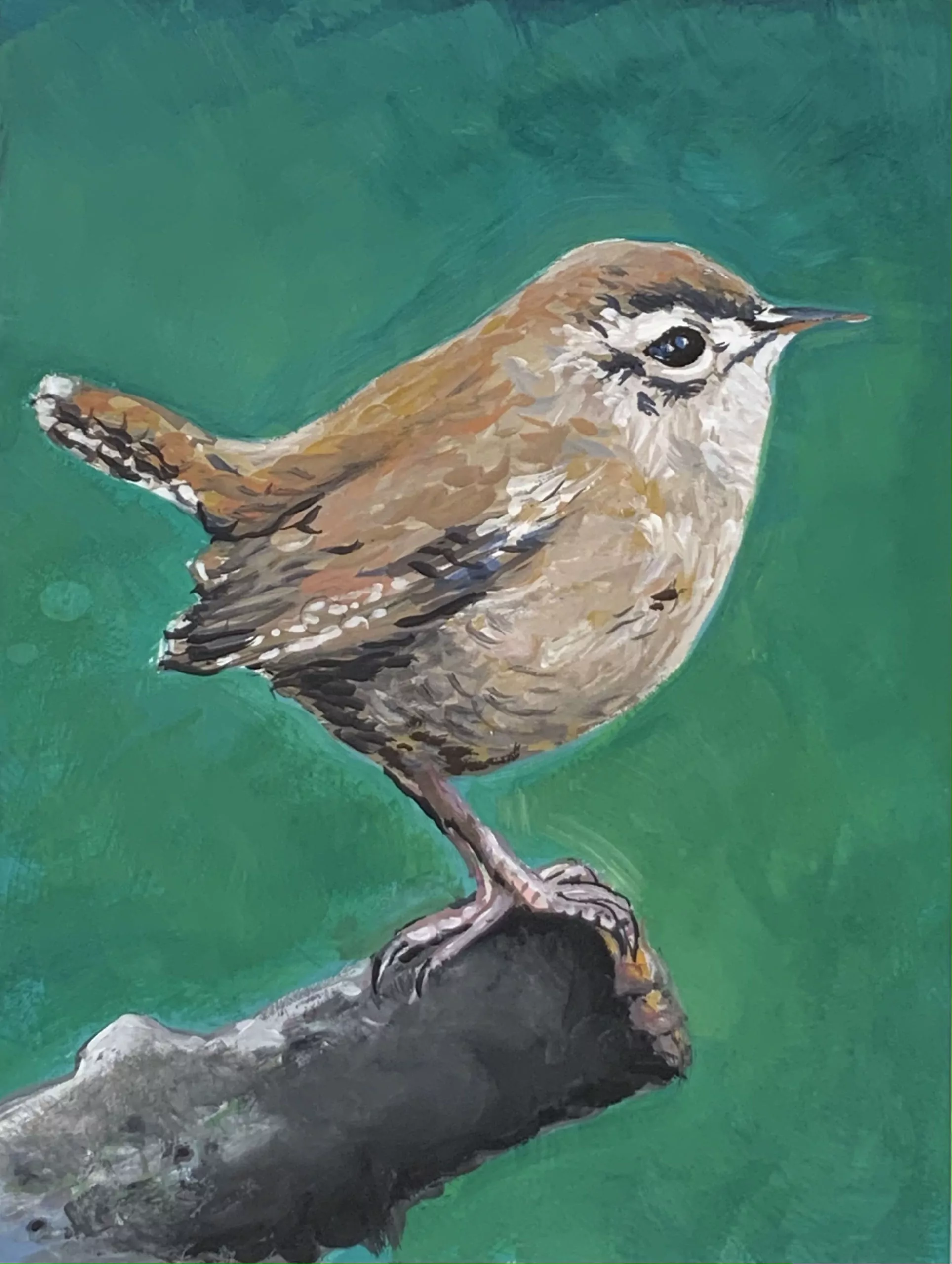 Wren