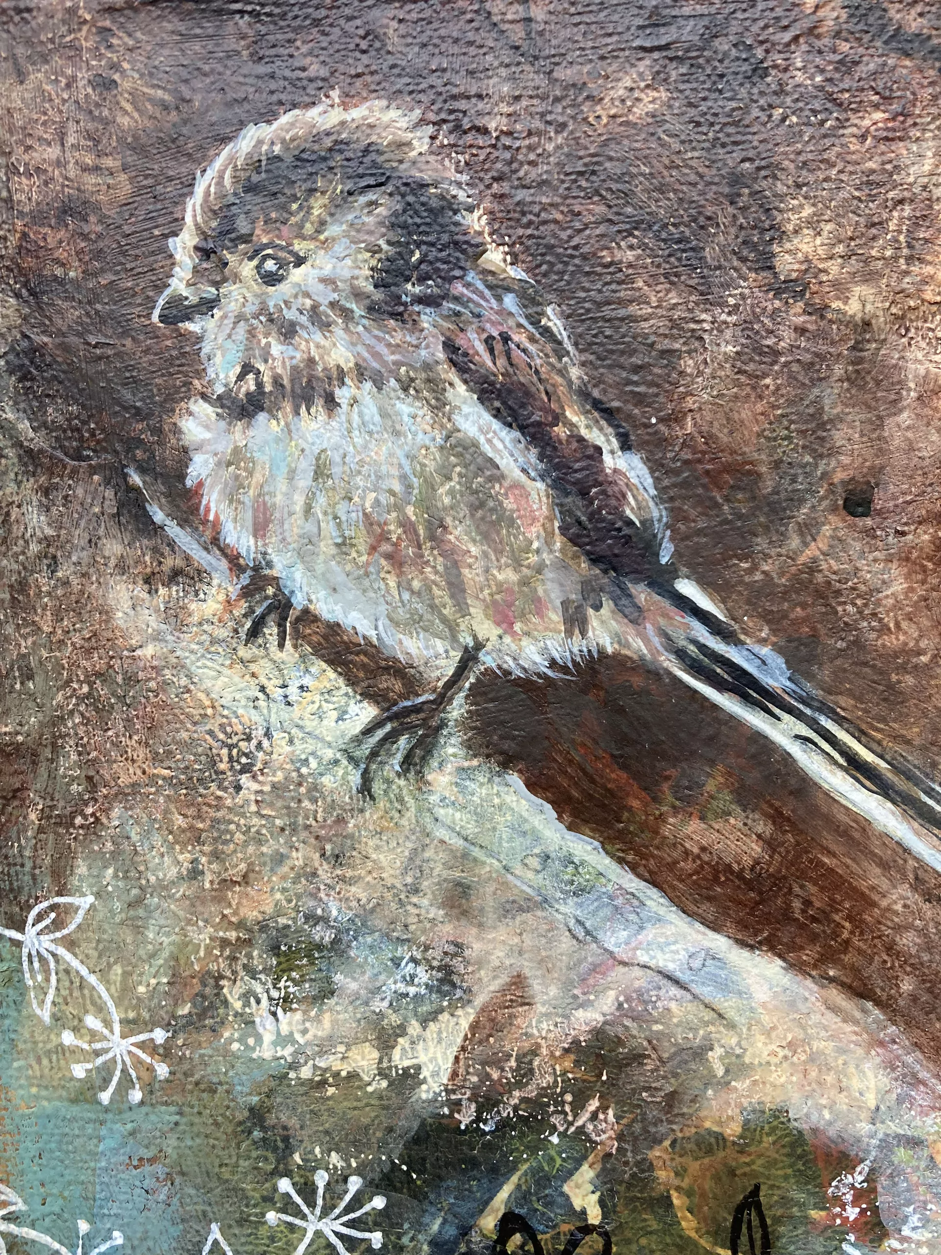 Long-tailed Tit - Image 2