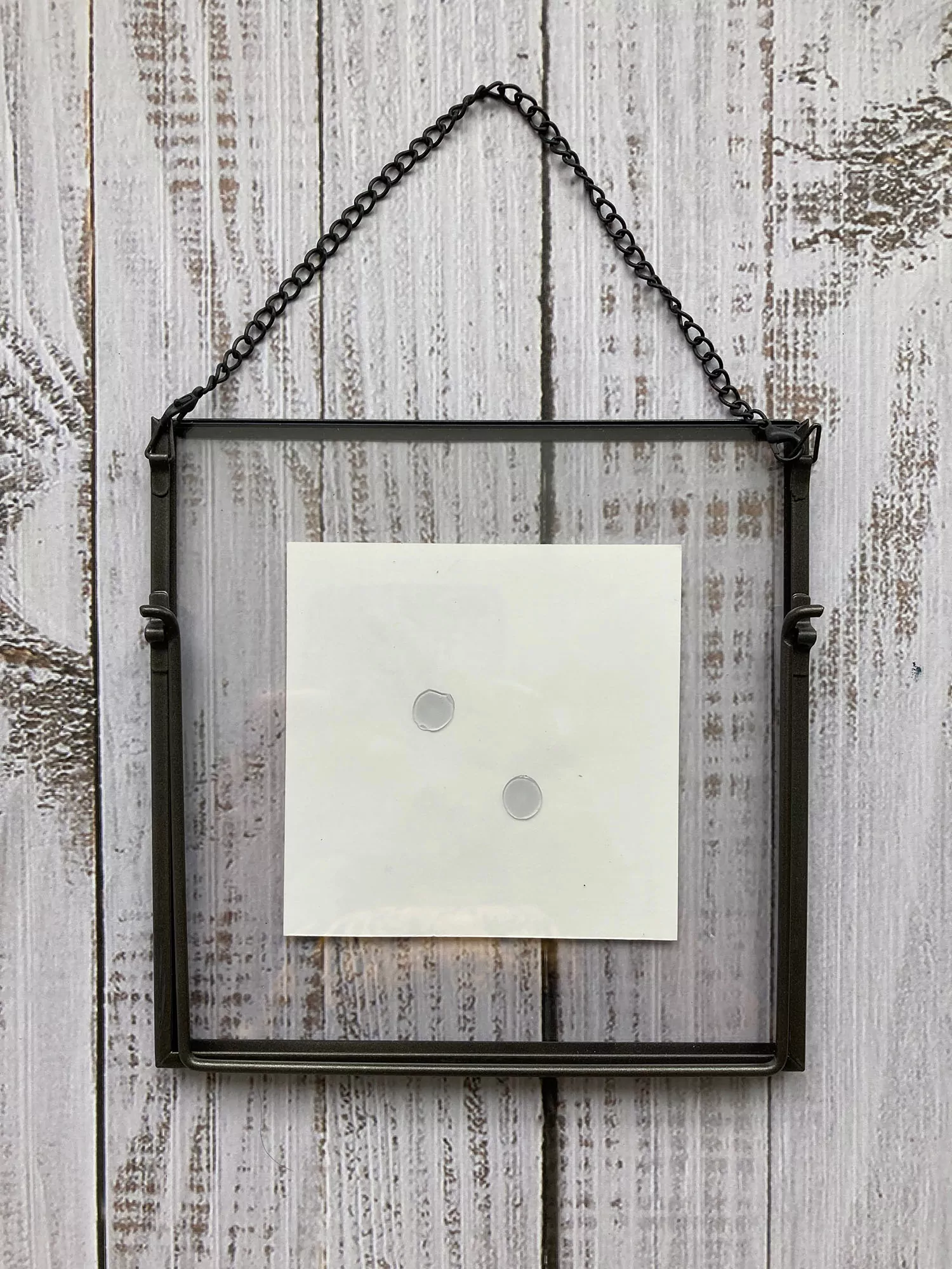 Botanical Transformation - Image 2